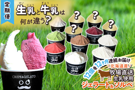 ＜12ヶ月定期便＞北海道産 生乳 ジェラート アイス 毎月12個  詰め合わせ ジェラートセット