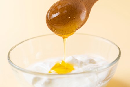 北海道産 天然 純粋 はちみつ ホワイトクローバー蜜 600g