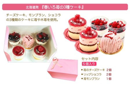 【3月中旬から発送】季節限定！苺の3種ケーキ　北海道・新ひだか町のオリジナルスイーツ ＜ 予約商品 ＞