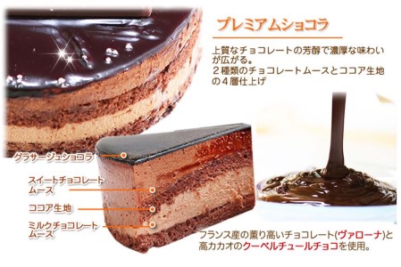 北海道・新ひだか町のクリスマスケーキ『ダブルショコラ』２つの味わい♪チョコレートケーキ【お届け予定：12/20～12/24】冷凍発送