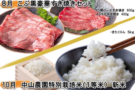 ＜2024年4月より6回定期便＞ 北海道産 黒毛和牛 こぶ黒 特別栽培米 きたくりん 豚肉 健酵豚 贅沢 セット＜ＬＣ＞