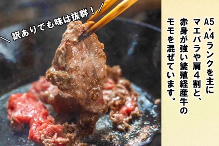 訳あり 北海道産 黒毛和牛 こぶ黒 A5 A4 赤身 切り落とし 計 1kg (500g×2パック)