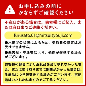 ＜ 2025年1月中旬より順次発送 ＞北海道産 活ホッキ 貝 20個 ＜ 予約商品 ＞ ホッキ 北寄 北寄貝 貝 殻付き 海鮮 海産物 新鮮 旬