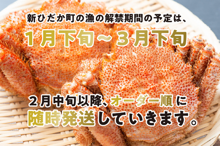 ＜2026年2月中旬から順次発送＞ 毛ガニ 北海道産 浜ゆで毛ガニ 2尾 計 600g 以上 ＜ 予約商品 ＞