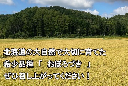 新米 令和7年度産 北海道米 おぼろづき 白米 10kg (5kg×2) 北海道 新ひだか町