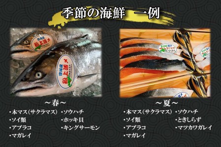 北海道産 旬のお魚 4～5種 お楽しみ詰め合わせ セット
