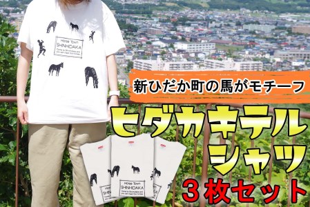 北海道 新ひだか町 ご当地 Tシャツ 3枚 セット