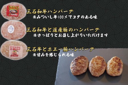 北海道産 黒毛和牛 みついし牛 ハンバーグ 3種 計 900g ( 100g × 各 3個 ) セット ( ホエー豚 道産豚 )