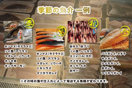 ＜定期便12回＞北海道産 旬のお魚 4～5種 お楽しみ定期便