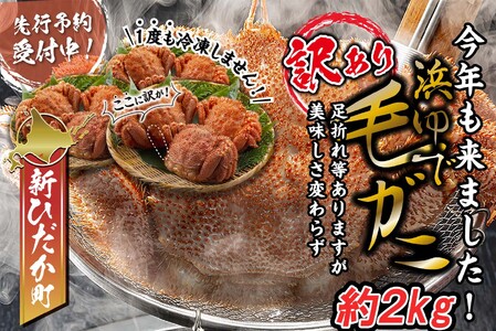<2023年1月から順次発送> 訳あり 北海道 浜ゆで 毛ガニ 約 2kg (7〜9尾) <予約商品>