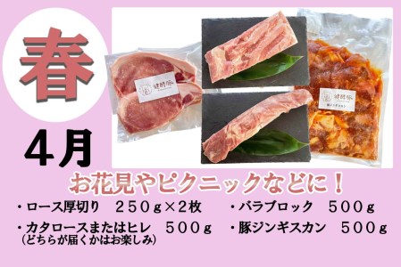 ＜定期便4回＞ 健酵豚 季節を楽しむ豚肉定期便