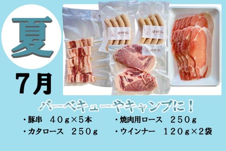 ＜定期便4回＞ 健酵豚 季節を楽しむ豚肉定期便