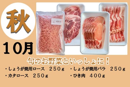 ＜定期便4回＞ 健酵豚 季節を楽しむ豚肉定期便