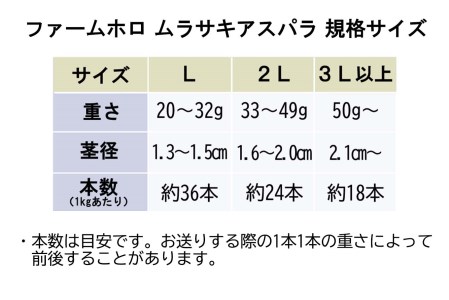 ＜先行予約＞ 北海道産 春採り ムラサキ アスパラガス 1kg 3Lサイズ 以上 ＜2024年5月上旬より発送＞