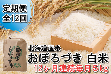 ＜ 定期便 12回 ＞ 北海道産 希少米 おぼろづき 白米 5kg 北海道 新ひだか町