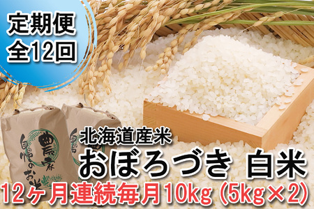 ＜ 定期便 12回 ＞ 北海道産 希少米 おぼろづき 白米 10kg （ 5㎏ ×2 ） 北海道 新ひだか町