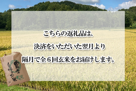 ＜ 定期便 6回 ＞ 北海道産 希少米 おぼろづき 玄米 5kg 北海道 新ひだか町