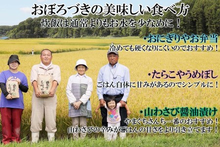 ＜ 定期便 6回 ＞ 北海道産 希少米 おぼろづき 玄米 5kg 北海道 新ひだか町