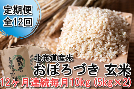 ＜ 定期便 12回 ＞ 北海道産 希少米 おぼろづき 玄米 10kg （ 5㎏ ×2 ） 北海道 新ひだか町