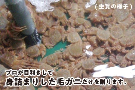 ＜2025年1月から順次発送＞【 定期便 全 3回 】 北海道産 かに 浜ゆで 毛ガニ 3尾 × 3回 （ 計 9尾 ） ＜  予約商品 ＞  毛がに かに 北海道 冷蔵 毛蟹 けがに 蟹 カニ かに味噌 カニ味噌 新鮮 旬 ボイル 浜茹で 海鮮 海産物 新鮮 旬 魚介 蟹味噌 みそ 