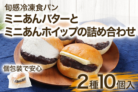 ミニあんバターとミニあんホイップの詰め合わせ 10個入 個包装 あんバター あんホイップ あんこ バター ホイップ ずっしり しっとり 冷凍パン 解凍するだけ 旬感冷凍食パン 詰め合わせ 食べ比べ【旬感冷凍食パンパン・デマンド】