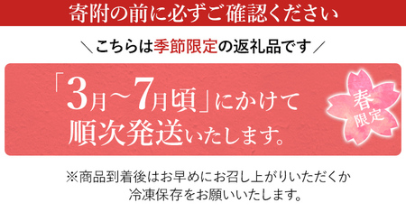 竹取すし物語 2本 (一本6切れ×2本)　寿司 すし 筍 たけのこ タケノコ 穴子 あなご アナゴ 冷凍 季節限定 福岡 九州 国産 グルメ 惣菜 送料無料
