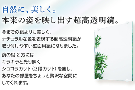 次世代壁面境 プレミア（超高透明鏡）ミラー 壁掛け鏡 フランス サンゴバン社製 九鏡 ショコラカット