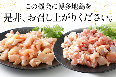 博多地鶏 スパイス焼きセット 肉の駅KING もも 胸肉 900g (450g×2p) 焼肉 九州産 冷凍 取り寄せ 送料無料