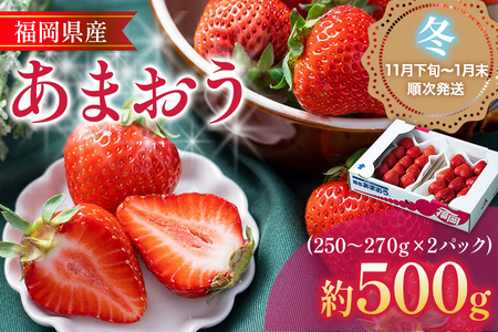 福岡産【冬】あまおう 2パック 合計約500g~540g （1パックあたり約250g~約270g） いちご 苺 果物 フルーツ 九州産 福岡県産 冷蔵 送料無料