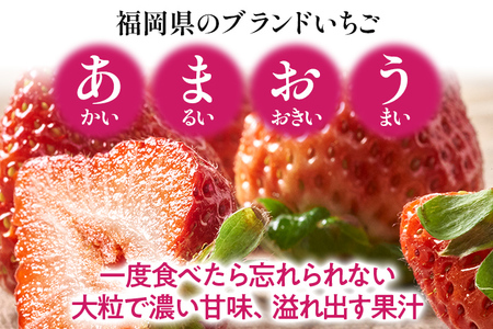 福岡産【冬】あまおう 2パック 合計約500g~540g （1パックあたり約250g~約270g） いちご 苺 果物 フルーツ 九州産 福岡県産 冷蔵 送料無料