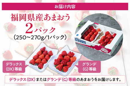 福岡産【冬】あまおう 2パック 合計約500g~540g （1パックあたり約250g~約270g） いちご 苺 果物 フルーツ 九州産 福岡県産 冷蔵 送料無料