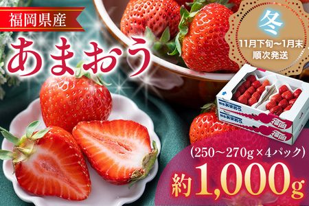 福岡産【冬】あまおう 4パック 合計約1000g~1080g 約1kg （1パックあたり約250g~約270g） いちご 苺 果物 フルーツ 九州産 福岡県産 冷蔵 送料無料