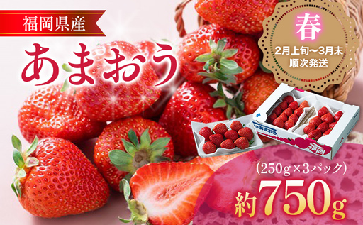 福岡産【春】あまおう 3パック 合計約750g~810g (1パックあたり約250g~約270g) いちご 苺 果物 フルーツ 九州産 福岡県産 冷蔵 送料無料