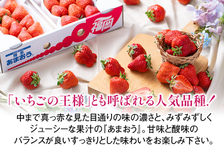 福岡産【春】あまおう 6パック 合計約1500g~1620g 約1.5kg （1パックあたり約250g~約270g） いちご 苺 果物 フルーツ 九州産 福岡県産 冷蔵 送料無料 