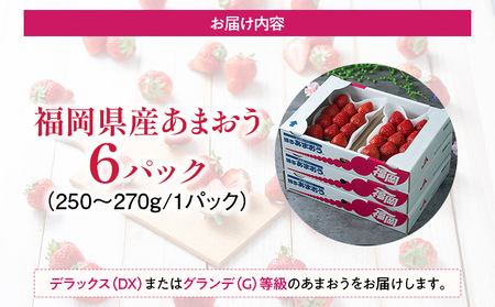 福岡産【春】あまおう 6パック 合計約1500g~1620g 約1.5kg （1パックあたり約250g~約270g） いちご 苺 果物 フルーツ 九州産 福岡県産 冷蔵 送料無料 