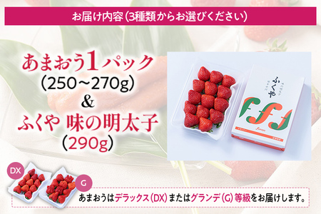 あまおう 1パック ＆ ふくや味の明太子 290g 明太子 惣菜 あまおう イチゴ いちご スイーツ 果物 フルーツ 送料無料