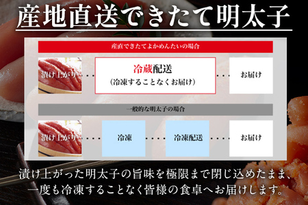 3回 定期便＞【訳あり・無冷凍・無着色】生 辛子明太子（切れ子） 博多