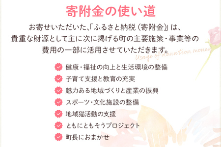 福岡県志免町おうえん寄付金　※返礼品なし（寄附のみ）