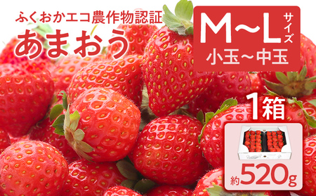 ふくおかエコ農作物認証あまおう M～Lサイズ 1箱セット あまおう イチゴ 苺 いちご フルーツ 果物 くだもの 福岡県産 お取り寄せグルメ お取り寄せ 福岡 お土産 九州 福岡土産 取り寄せ グルメ 福岡県
