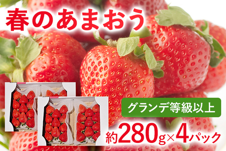 【2026年先行予約】春のあまおう(G規格以上約280g x 4パック) お取り寄せグルメ お取り寄せ 福岡 お土産 九州 福岡土産 取り寄せ グルメ 福岡県