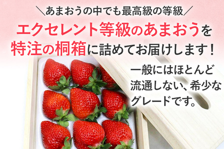 【2026年発送先行予約】ティッシュボックス用特別仕様の桐箱入りプレミアムあまおう　あまおうEX400ｇｘ1パック　ギフト、お祝い、贈答用 お取り寄せグルメ お取り寄せ 福岡 お土産 九州 福岡土産 取り寄せ グルメ 福岡県