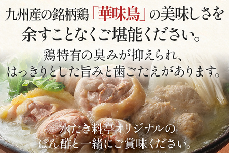 博多華味鳥 水たきセット（ちゃんぽん麺付き） 水たき 水炊き ちゃんぽん麺 ちゃんぽん セット 博多華味鳥
