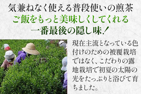 太郎五郎久家茶園 上煎茶「白折」400g 八女 八女茶 煎茶 福岡 お茶