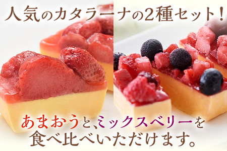 【年内発送】あまおう・ミックスベリーカタラーナセット スイーツ カタラーナ 2種 あまおうカタラーナ 285g×1 ミックスベリーカタラーナ 260g×1 冷凍 西通りプリン デザート 洋菓子 おやつ お菓子 アイスデザート
