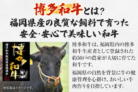 【厳選肉専門店 ふじ匠】 博多和牛の牛まぶし 肉 牛肉 博多和牛 赤身肉 肉加工品 タレ 山椒 濃縮出汁付 ひつまぶし 福岡 グルメ 贈り物 冷凍 ギフト 柔らかい ステーキ 丼 お取り寄せ 食品
