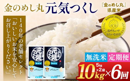 【無洗米】 令和7年産 金のめし丸 元気つくし 合計60kg 10kg (5kg×2袋) ×6回 定期便 白米 精米 お米