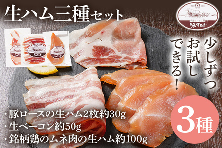 生ハム三種セット 生ハム うえすたん セット 食べ比べ 詰め合わせ 福岡県 志免町
