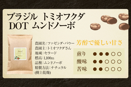 コーヒー豆 ブラジル トミオフクダ DOT ムンドノーボ 100g お試し 自家焙煎 ドリンク 飲料