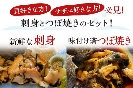 丸ごとサザエ さざえ 栄螺 貝 魚介 海鮮 刺身 つぼ焼き サザエ サザエの刺身２個 サザエのつぼ焼き２個 玄界灘 福岡 冷凍 お取り寄せ 海産物 さしみ 刺し身 グリル 殻付き レンジ おつまみ つまみ 肴