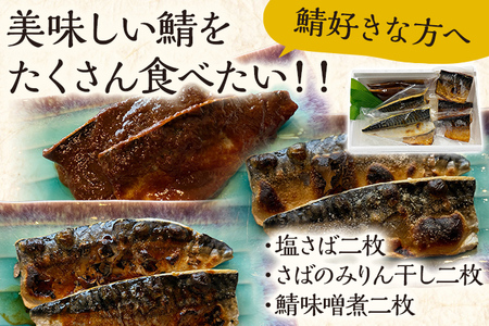 美味しい鯖をたくさん食べたい 鯖 さば サバ 惣菜 塩サバ みりん干し 鯖味噌 3種セット 塩さば二枚 さばのみりん干し二枚 鯖味噌煮二枚 食べ比べ おかず 魚 お酒のアテ おつまみ 朝食 お弁当